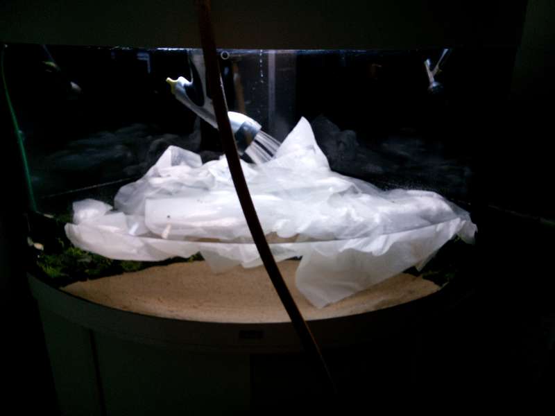 463697holynoise1977_0_82_20141105_21.jpg