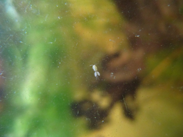 467374kimelderhorst_0_85_0504201.jpg
