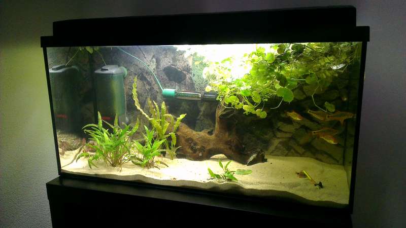 468768w0uter_0_82_w0uter_aquarium_imag1134.jpg