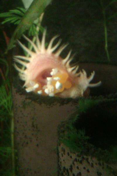 469197_0_82_20140224_09.jpg