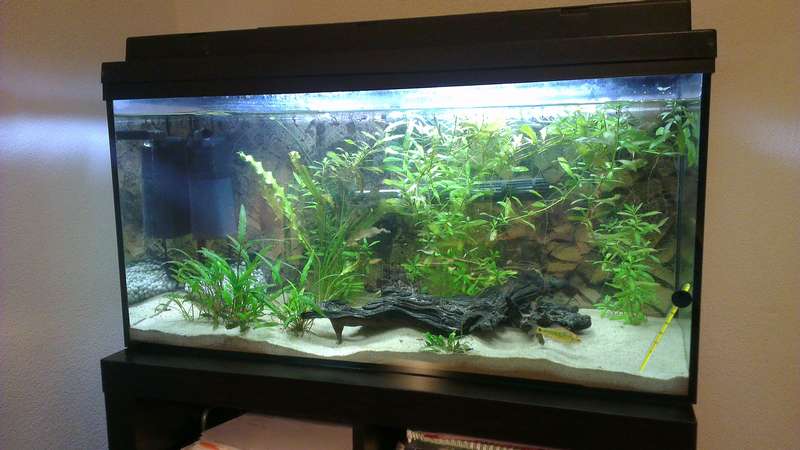 469462w0uter_0_82_w0uter_aquarium_imag0774.jpg