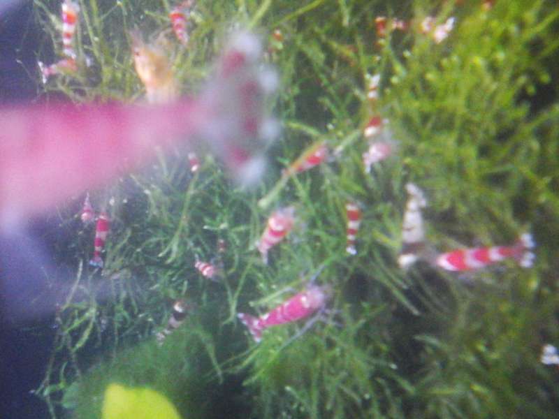 476926_0_82_20140214_215012.jpg