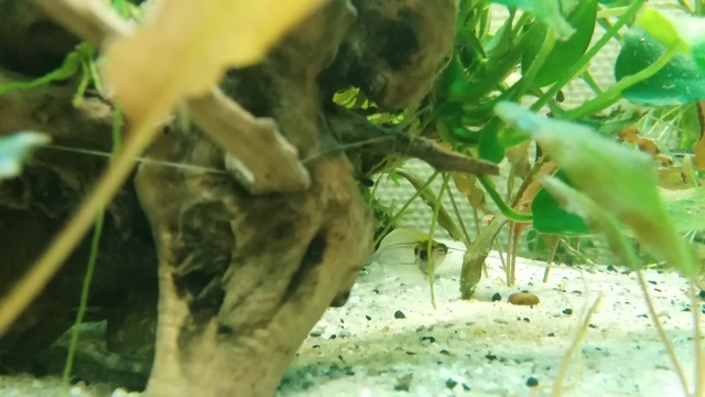 483774anneb_0_85_aquariu.jpg