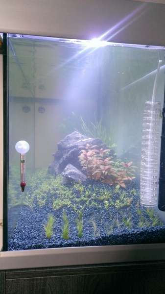 497225jsiegmund_0_82_wp_20140525_007.jpg
