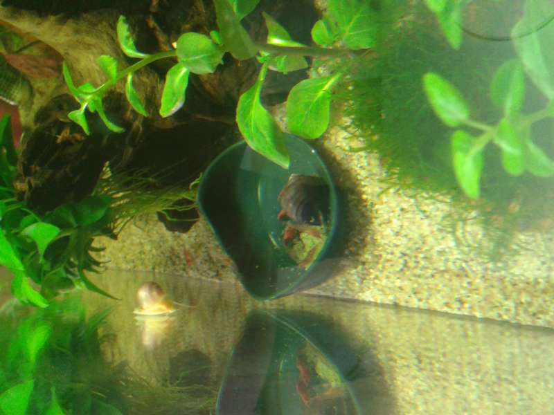 498353biologist_0_82_20150624_151631.jpg