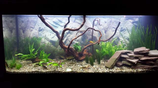 499654_0_82_20140202_203359.jpg