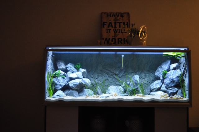 512287wiets82_0_85_aquariu.jpg