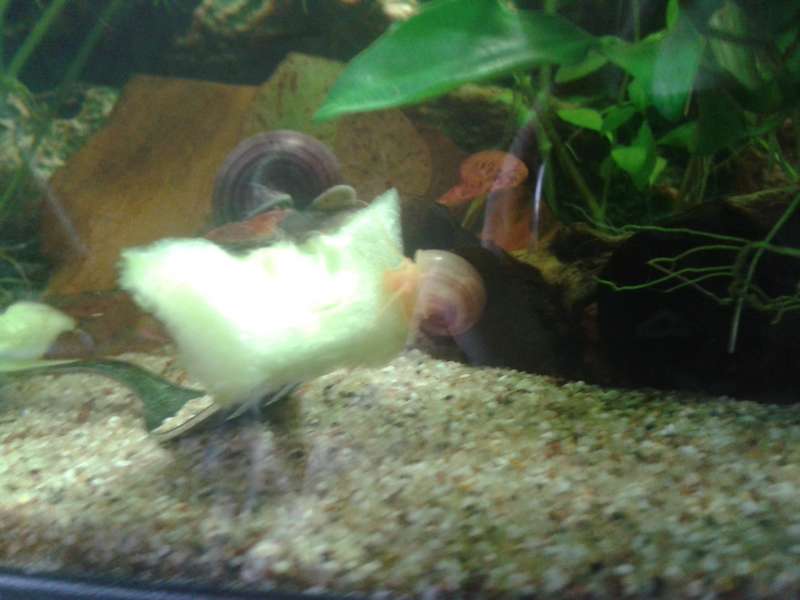 513754biologist_0_82_20150622_155802.jpg