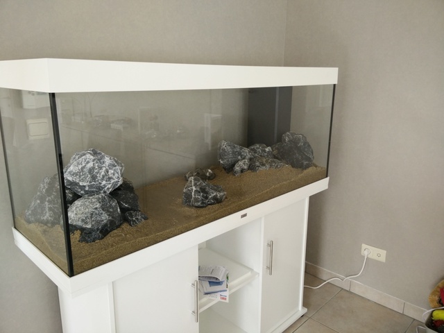 527863akitaluna_0_85_deskto.jpg