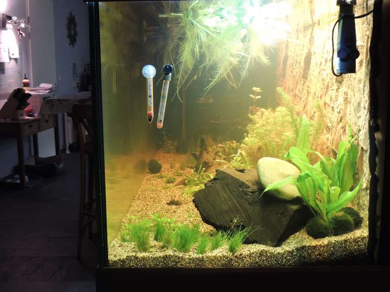 533259tamara1988_0_82_aquarium_17.jpg