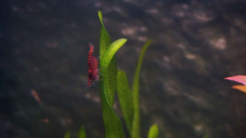 533632aquatin_0_82_dsc01190.jpg