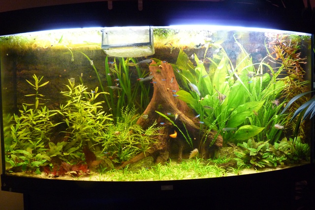 543917jeto_0_85_112_pan.jpg