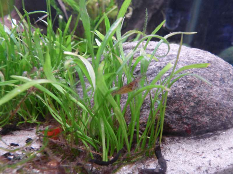 547722_0_82_aquarium_117.jpg