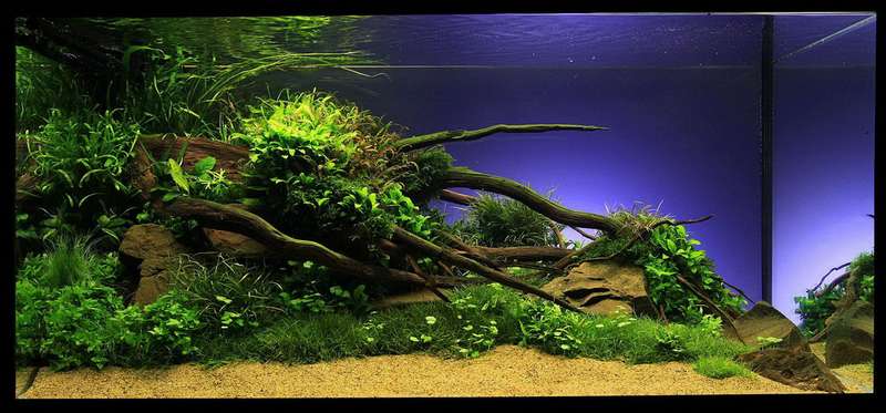 571643_0_82_nature_style_16.jpg