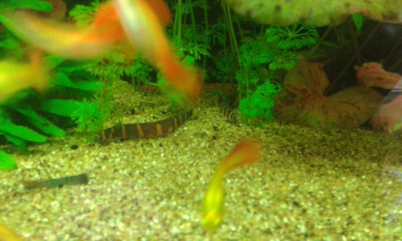 573141blablabla_0_82_20140906_182123.jpg