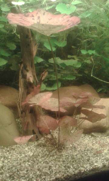 583741_0_82_20131027_143716.jpg