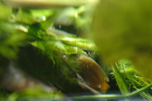 588691_0_82_crw_7538.jpg