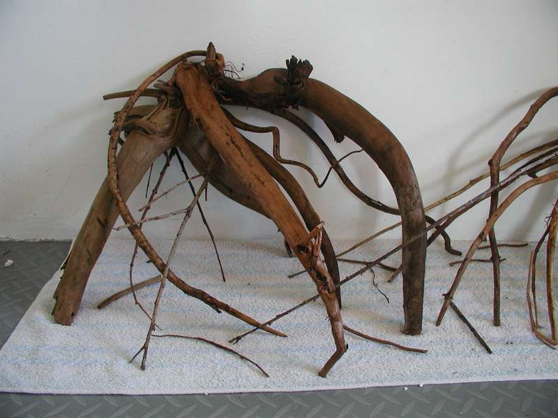 589439bartm_0_82_p1010115.jpg