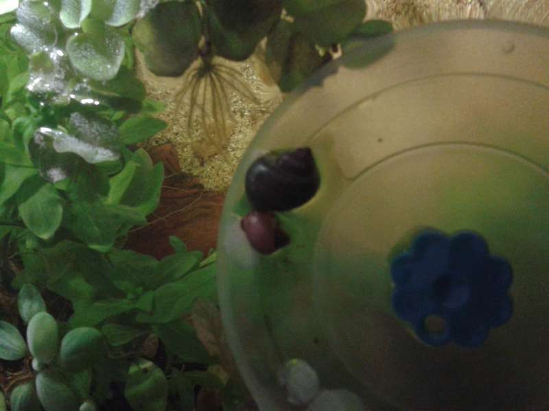 593635biologist_0_82_20150605_155421.jpg