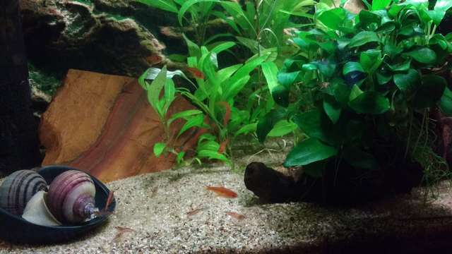 595943biologist_0_82_img_20151212_190556822.jpg