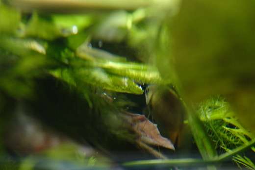 598627_0_82_crw_7535.jpg