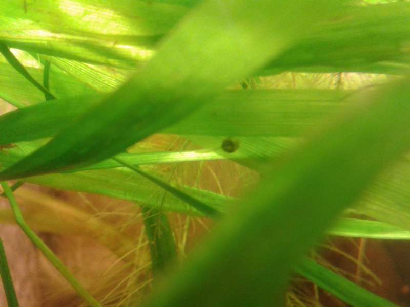 622453an_vrolijk_0_82_20140224_230458.jpg