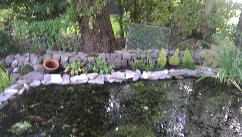 627614_0_82_20140820_18.jpg