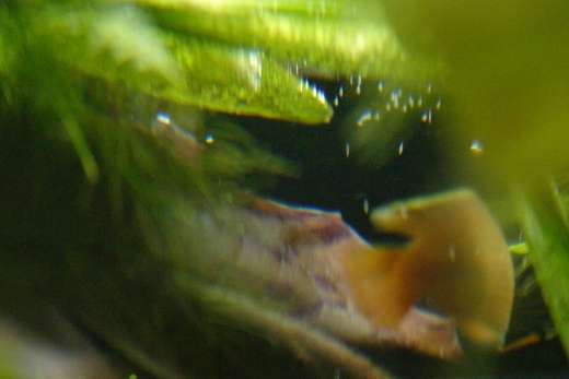 632644_0_82_crw_7539.jpg
