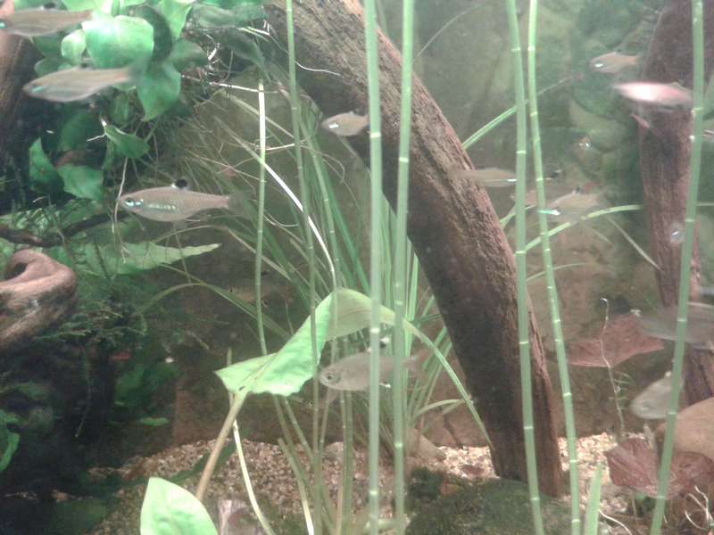 644654an_vrolijk_0_82_20140512_195414.jpg