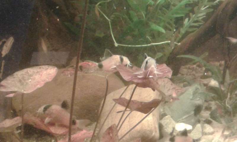 644931_0_82_20131031_184843.jpg