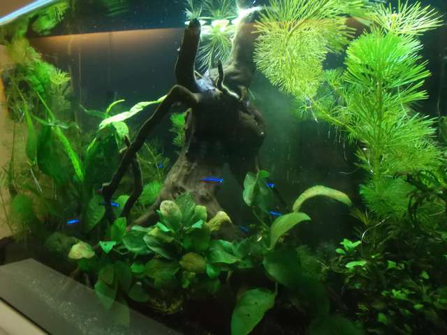 646476jve_0_82_dscf1479.jpg