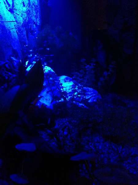 647273coolobr33ze_0_82_foto1.jpg