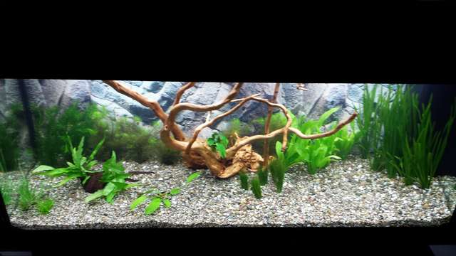 653569_0_82_20140130_165057.jpg