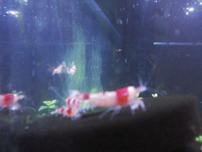 656468_0_82_20140311_203824.jpg
