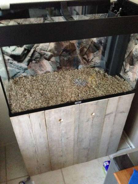 658889coolbr33ze_0_82_aquarium0020.jpg