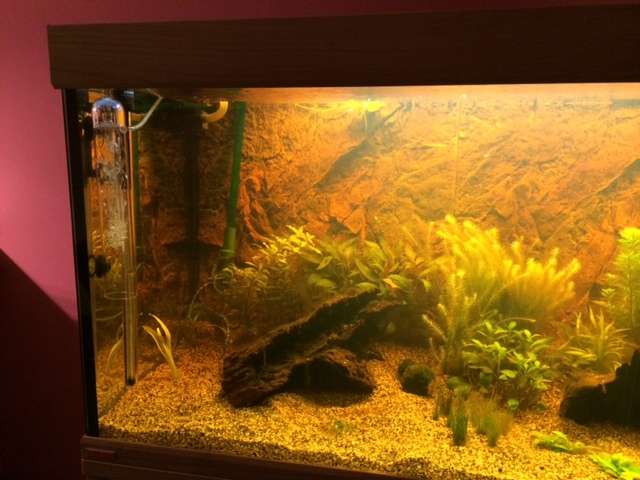 666642tamara1988_0_82_aquarium_27.jpg