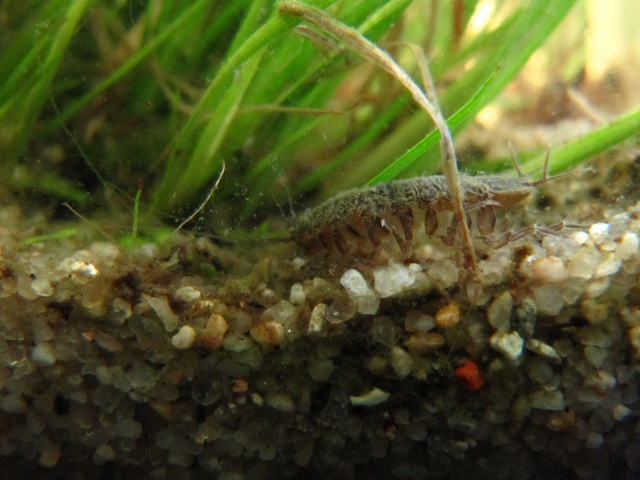 672698kimelderhorst_0_85_0504201.jpg