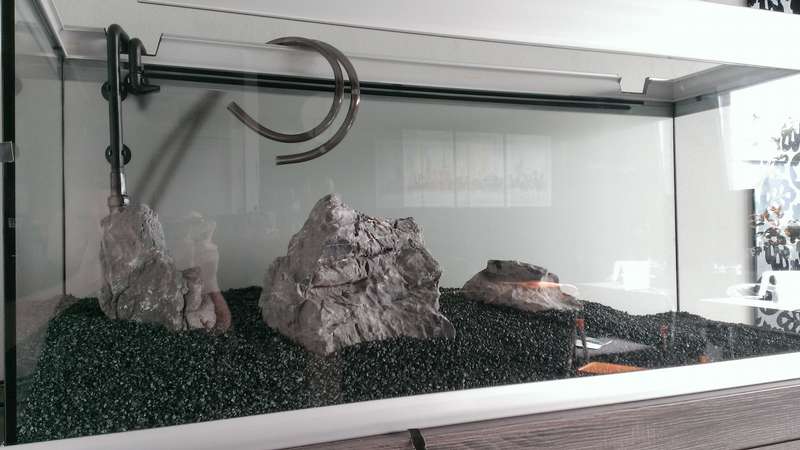 674994jsiegmund_0_82_wp_20140223_011.jpg