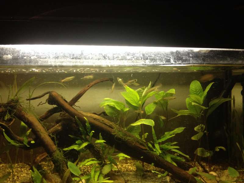 684462michaelvd0705_0_82_michaelvd0705aqua4.jpg