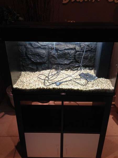 687464coolbr33ze_0_82_aquarium0001.jpg
