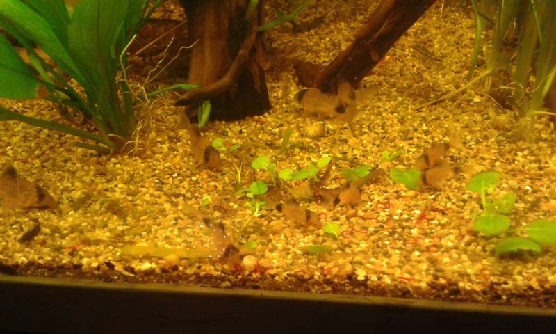 692113_0_82_20140505_222500.jpg