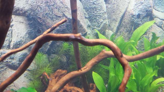 695464_0_82_20140131_194115.jpg