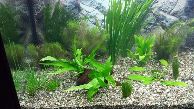 711557_0_82_20140129_164208.jpg