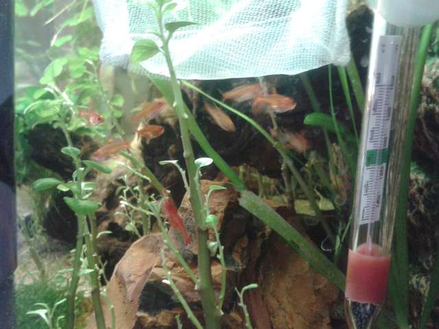 711676biologist_0_82_20150718_200955.jpg