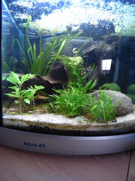 715478_0_82_aquarium_083.jpg