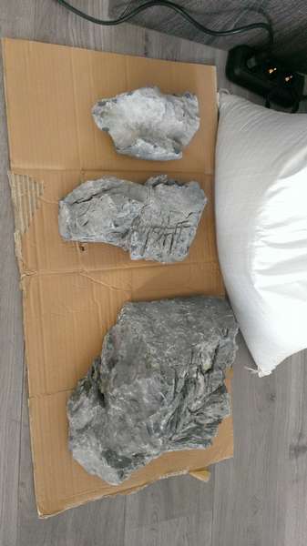 716363jsiegmund_0_82_wp_20140223_003.jpg