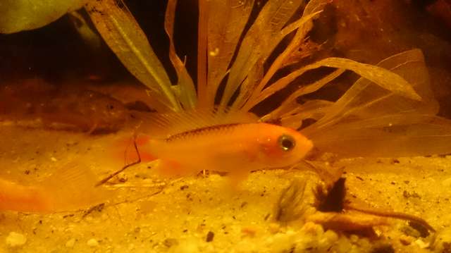 717814mervin_0_82_dsc_0015.jpg