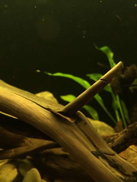 722467bartm_0_82_image8.jpg