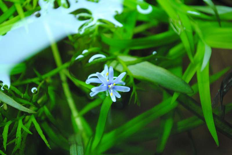 723893_0_82_102.jpg