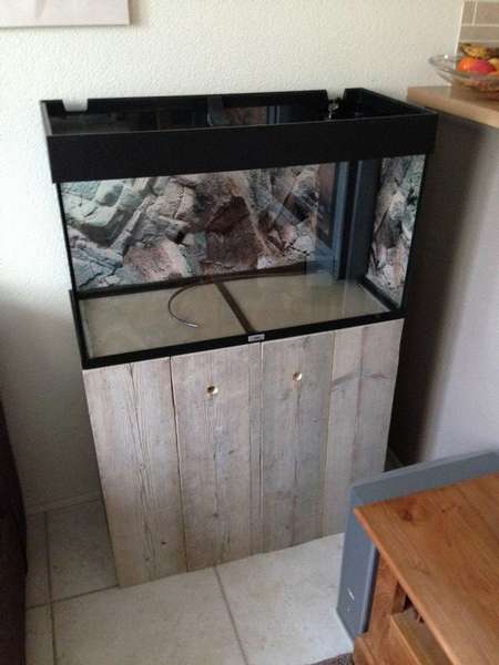 725486coolbr33ze_0_82_aquarium0019.jpg